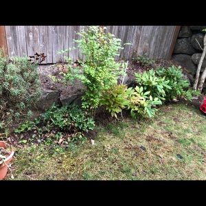 Meet your Posher, Rachael